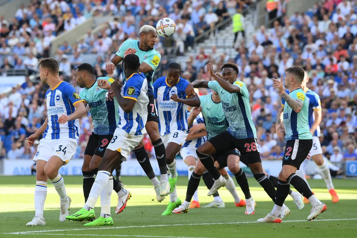Live Stream: Brighton vs Newcastle United - English Commentary HD